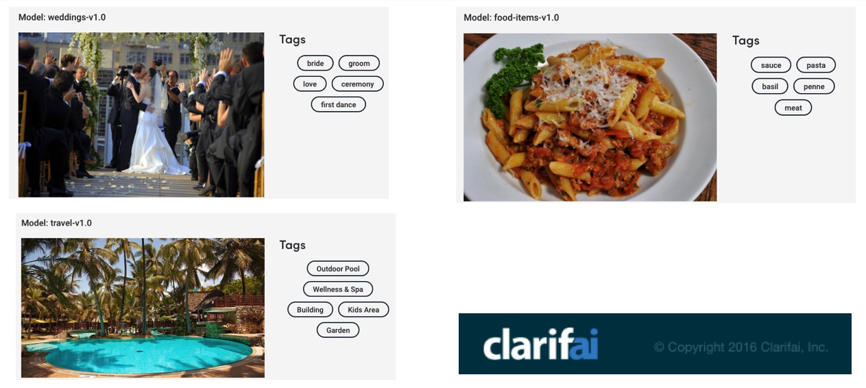 Domain Specific Computer Vision model from Clarifai